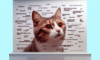 Cat Meme Guide: How to Attain Feline Internet Stardom