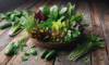 Fresh Summer Salad: A Guide to Vibrant Flavours