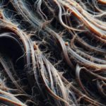 Reversing Heat Damage: Strategies for Effective Restoration