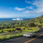 Maui Upcountry Road Trip: Discover Scenic Routes and Hidden Gems