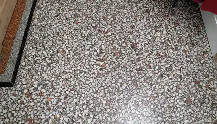 Close-up of terrazzo floor showing decorative aggregate set in a cement binder