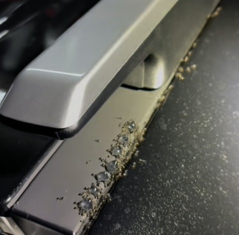 Ant Infestation Solutions for Your Schofields Car
