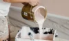 Budget Tips for Successful Exterior Paint Jobs in Sydney