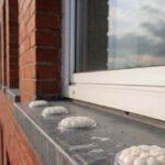 Spike-Free Gel Repellent Options for Bird Proofing Solutions