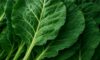 Collard Greens Recipe: A Nutritious Slow Cooked Delight