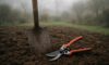 Garden Maintenance Tips for Every Season in Martock