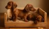 Puppy Comfort: How to Create a Cosy Crate for Your Dog