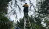Electrical Defect Notice Response in the Mid North Coast