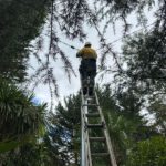 Electrical Defect Notice Response in the Mid North Coast